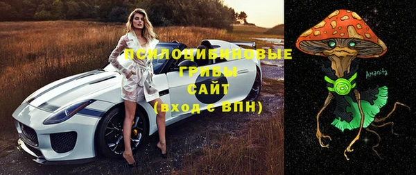 ПСИЛОЦИБИНОВЫЕ ГРИБЫ Пестово