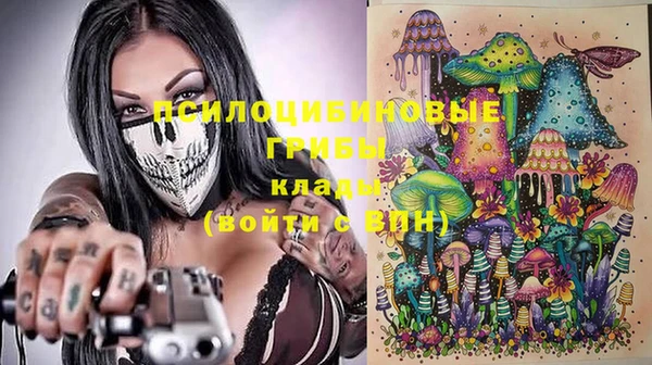 ПСИЛОЦИБИНОВЫЕ ГРИБЫ Пестово