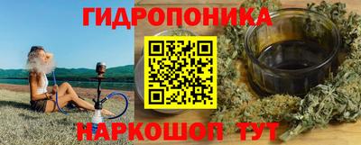 шишки Гагарин