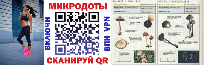 где найти наркотики  Соликамск  Галлюциногенные грибы ЛСД 