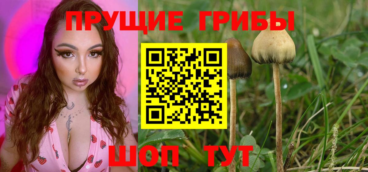 Псилоцибиновые грибы мухоморы  Соликамск 