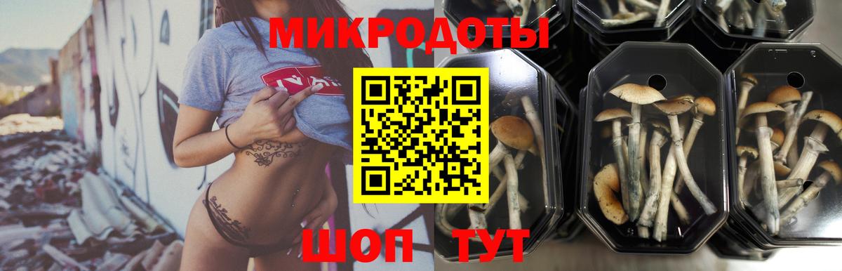 Галлюциногенные грибы Psilocybine cubensis  Вход с VPN  цены   Соликамск 